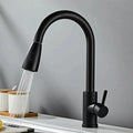 Novyra AquaFlex Stainless Steel Pull-Out Kitchen Faucet
