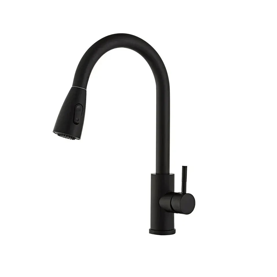 Novyra AquaFlex Stainless Steel Pull-Out Kitchen Faucet